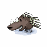 porcupine